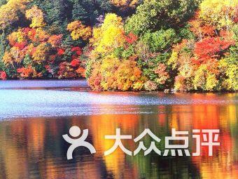 深入了解