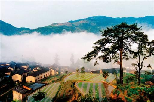 轻松问答,尽在广西一男子停车多次失败徒手拽进车位,你知道哪些关于侧方位停车的小技巧?蜗牛问答平台