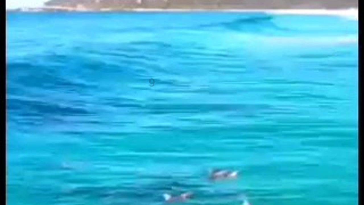 hahabetcom官网星辰大海的电话